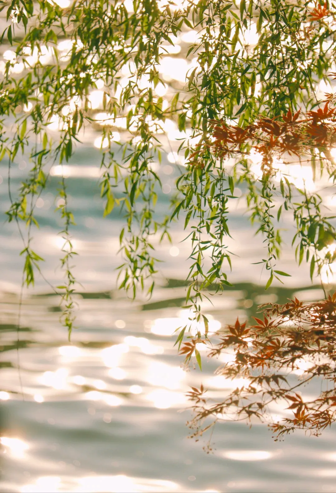 May Day in Hangzhou: Local's Playbook to Actually Having a Blast (Forget the Crowds!) 2