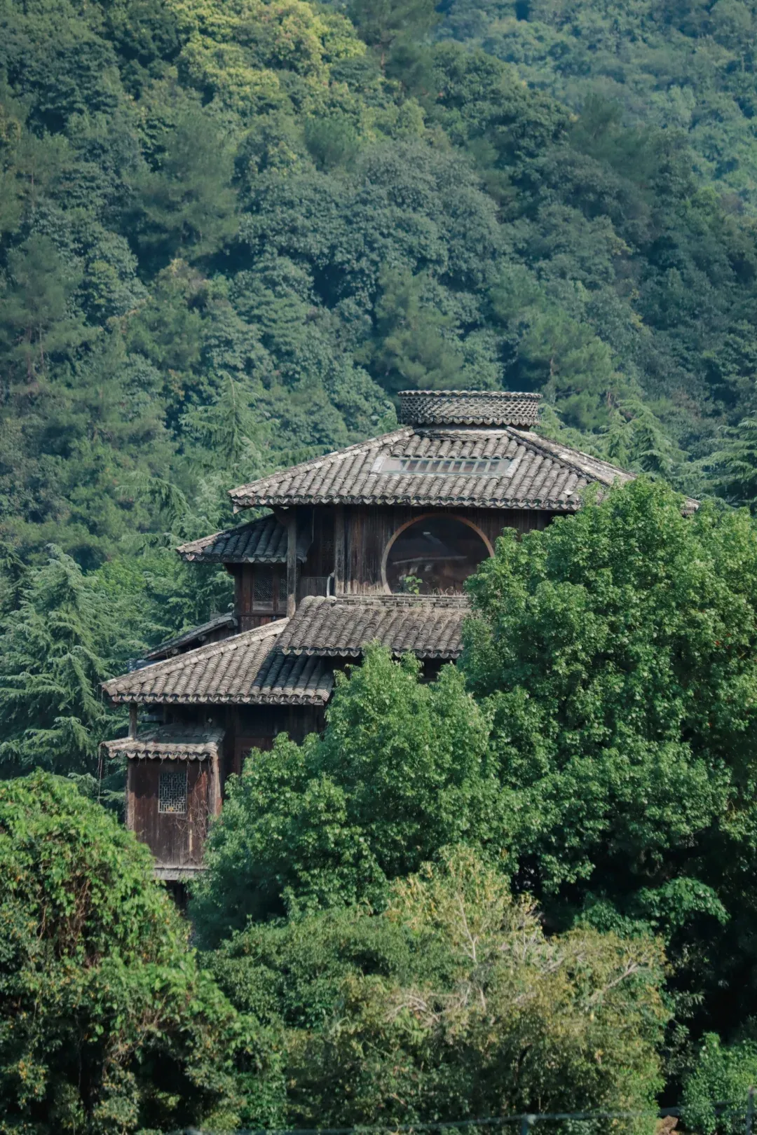 May Day in Hangzhou: Local's Playbook to Actually Having a Blast (Forget the Crowds!) 4
