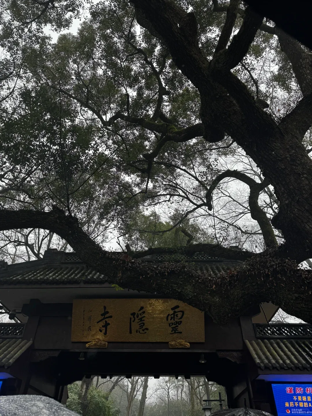 Lingyin Temple: Hard Pass Incoming! 2