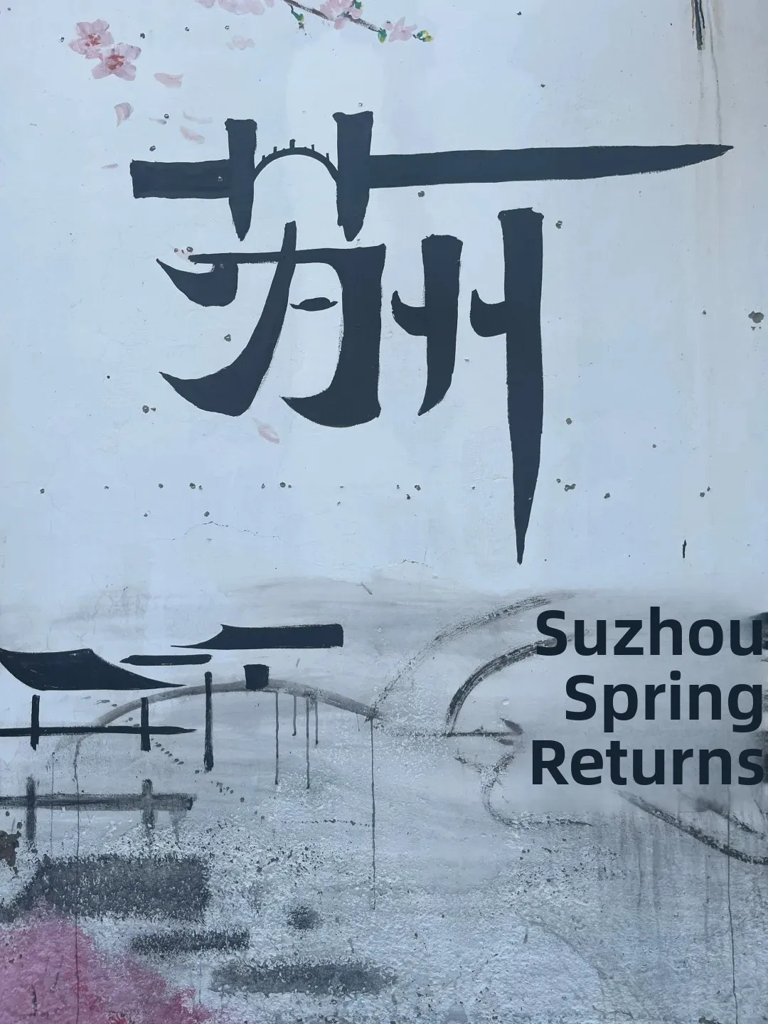 The Real Scoop: What I Actually Spent in Suzhou 2