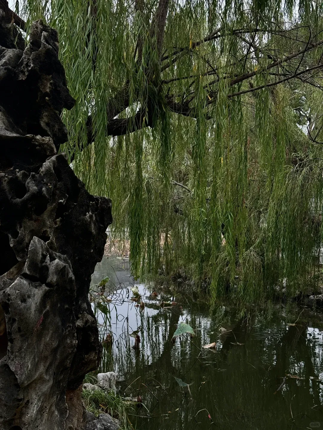 PSA: Jinxi Ancient Town (Kunshan, Suzhou) – You've Been Warned! 1
