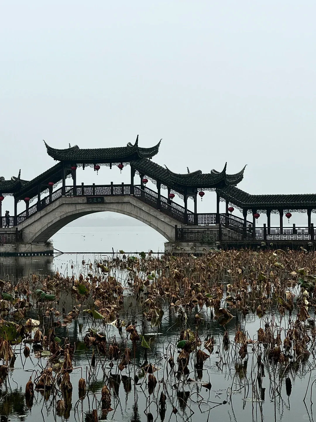 PSA: Jinxi Ancient Town (Kunshan, Suzhou) – You've Been Warned! 4