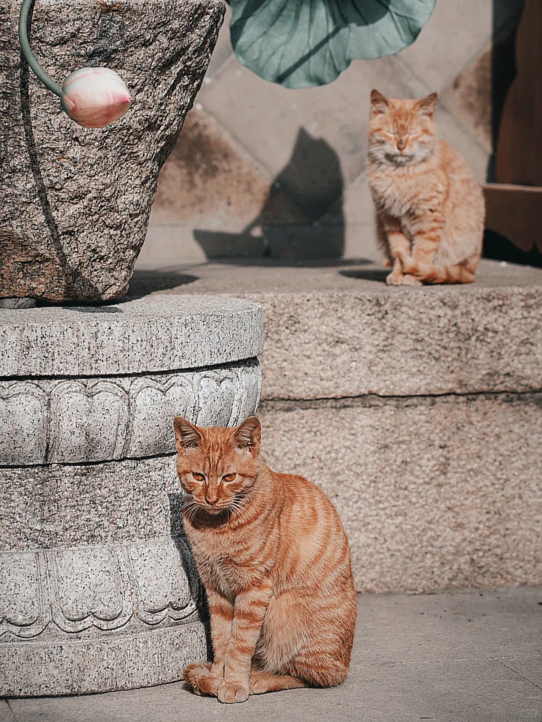 This is NOT a Tourist Attraction! Seriously, Just DON'T!!! 3