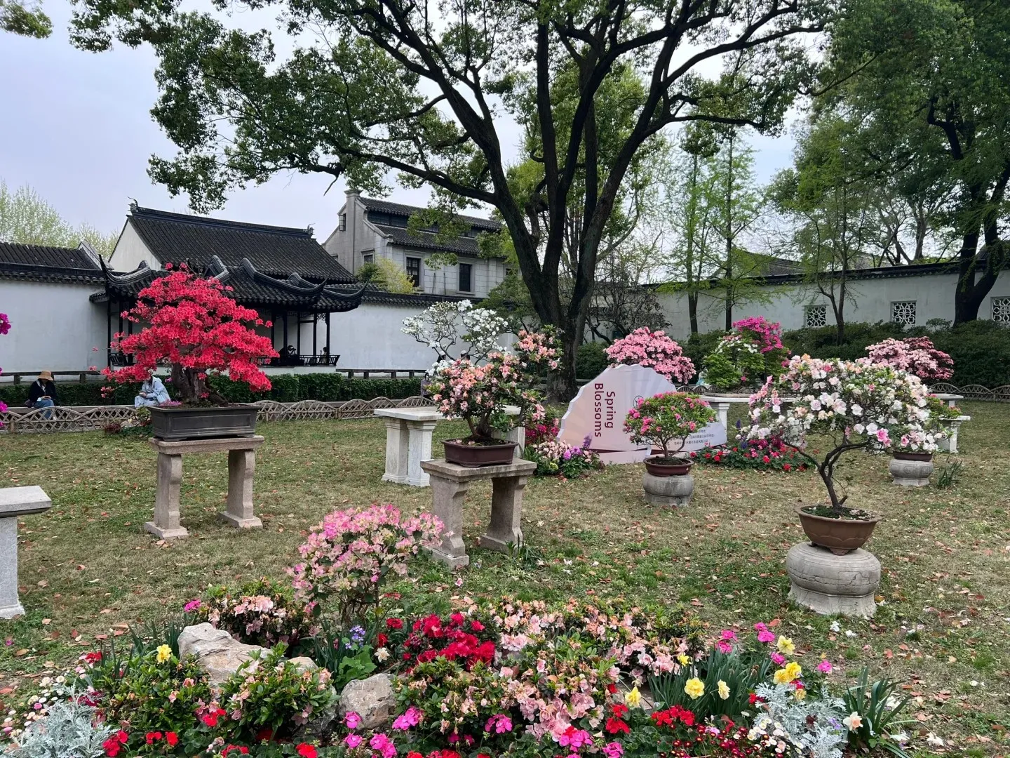 Suzhou: Tourist Trap ALERT ‼️ & Your MUST-EAT Food List + Insider Tips ✅ 7