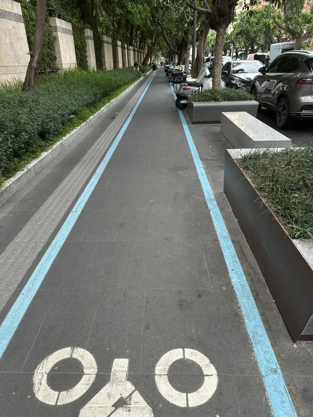 Shenzhen Pedestrians: Seriously, Still No Wings? 😅 1